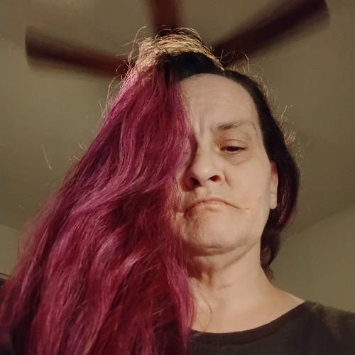 Donna N. profile photo