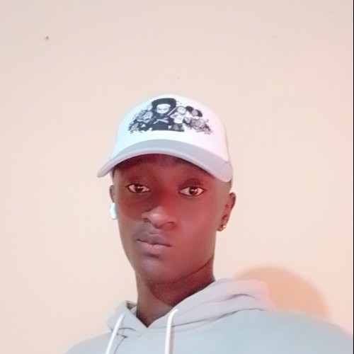 Francis  N. profile photo