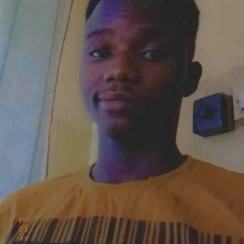 Timmy O. profile photo