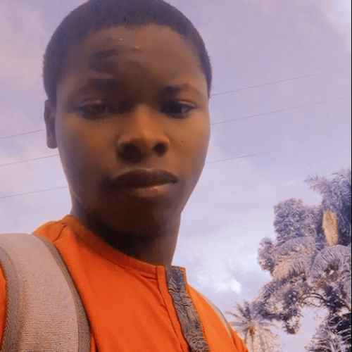 kayode b. profile photo