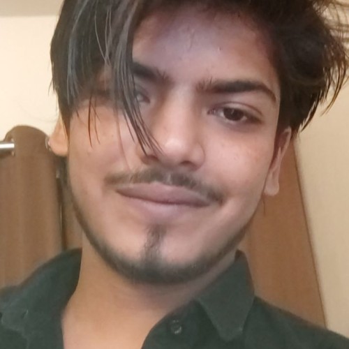Ayush V.