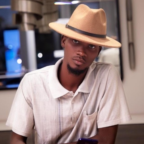 Lardellier V. profile photo