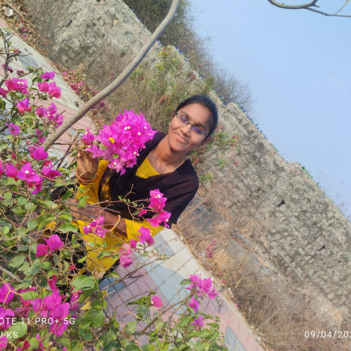 Shirisha K. profile photo