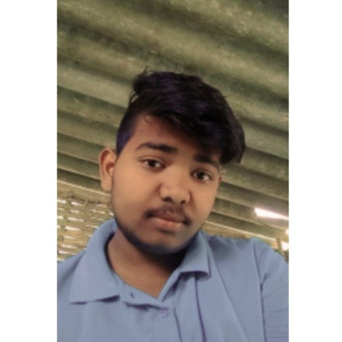 Vivek P.