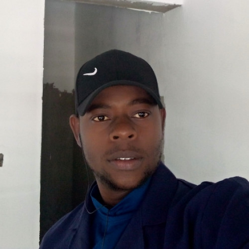 Alex N. profile photo