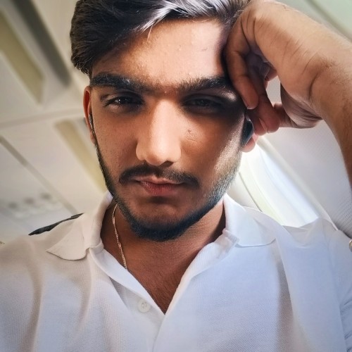 Mohit S.