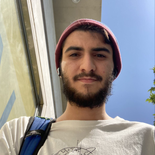 ali n. profile photo