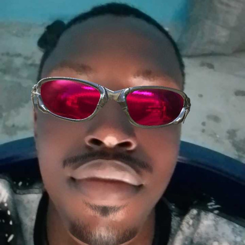 Daniel D. profile photo