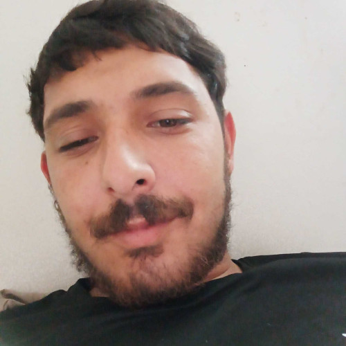 Daniel k. profile photo