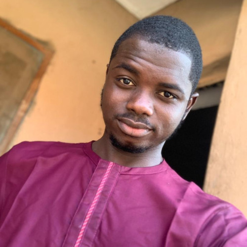 Ayooluwa O. profile photo