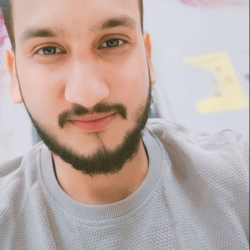 Ansh S.