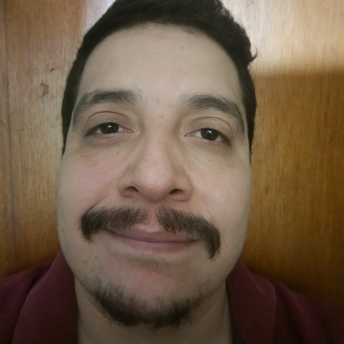 Stephen  L. profile photo