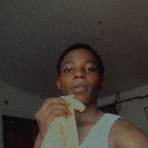 Ekundayo  A. profile photo