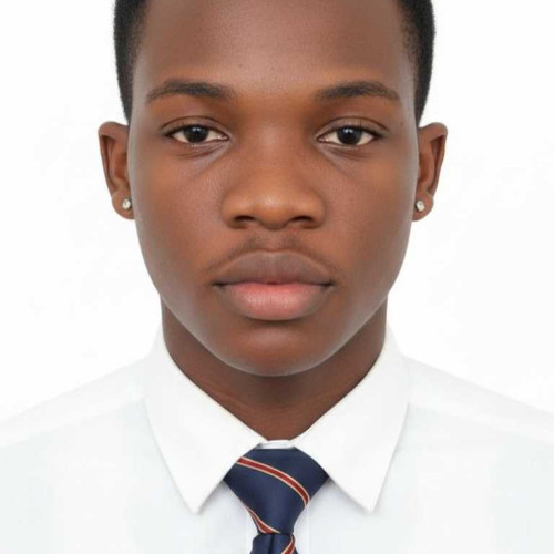 Adedeji A. profile photo
