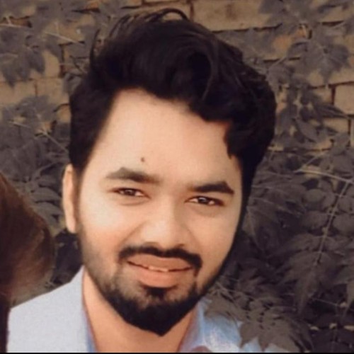 Saleem N.