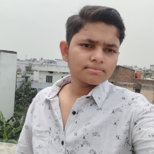 Aditya R.