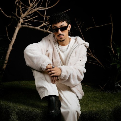 Amine M. profile photo