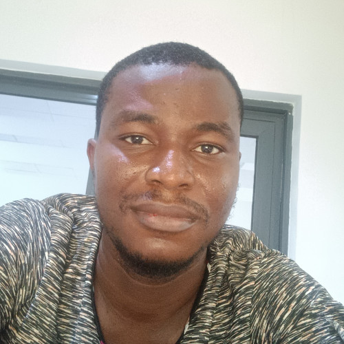 Onyebuchi  O. profile photo