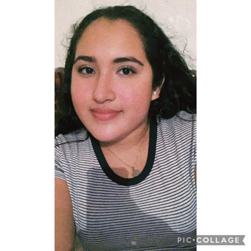 Carolina  O. profile photo