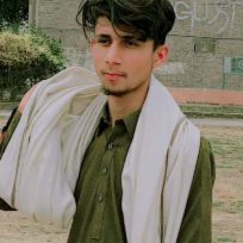 Muhammad M. profile photo
