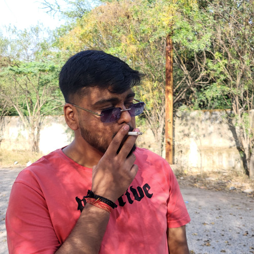 Ayush K. profile photo