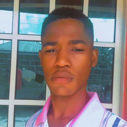 Emmanuel S. profile photo