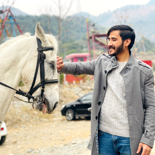 Arsalan Z.