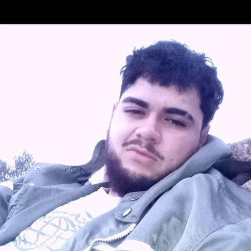 Igor N.