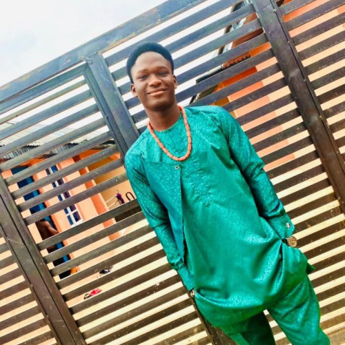 Oluwafemi A. profile photo