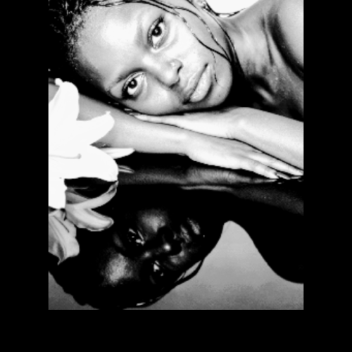 Lisa K. profile photo