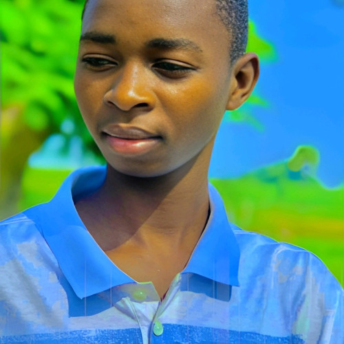 Ahmed A.