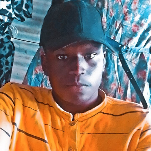 Roy B. profile photo