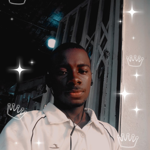 Daviva S. profile photo