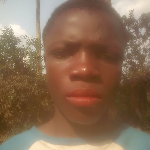 Young  L. profile photo