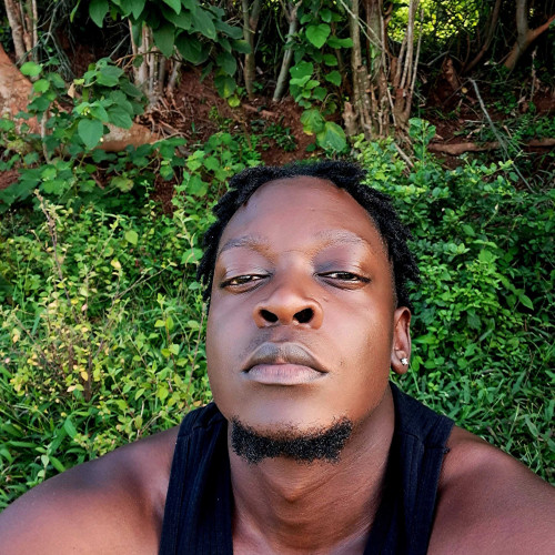 Brian Z. profile photo