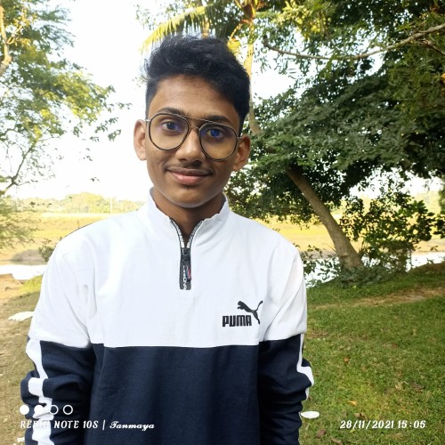 ashirbad p.