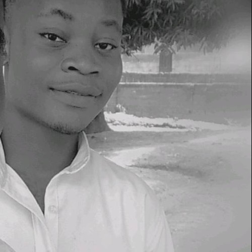 Chibuike  O. profile photo