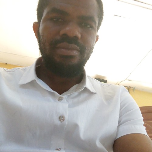 RAYMOND OKORIE  O. profile photo
