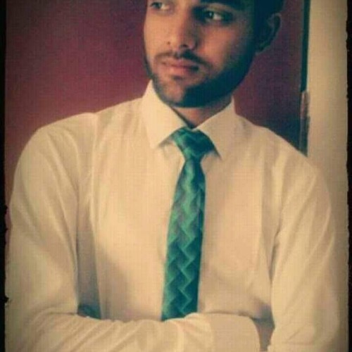 Dipash T. profile photo