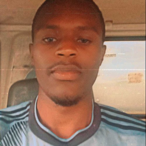 Alvin K. profile photo