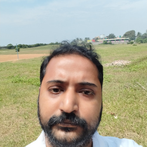 dinesh k. profile photo
