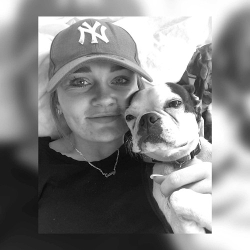 Casey d. profile photo