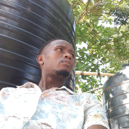 Simon M. profile photo