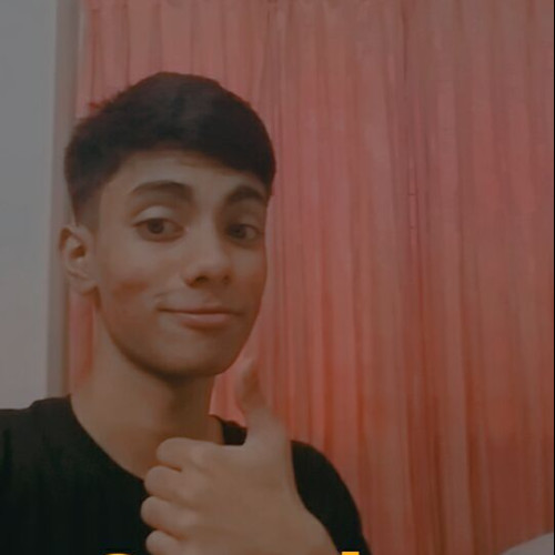 Hamza C. profile photo