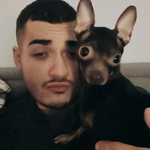 Serdar B. profile photo
