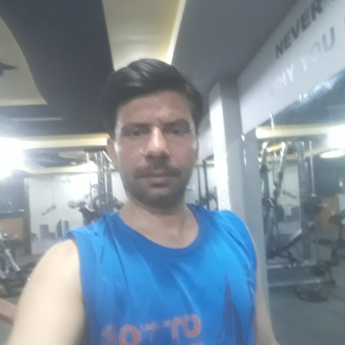 shahid z.