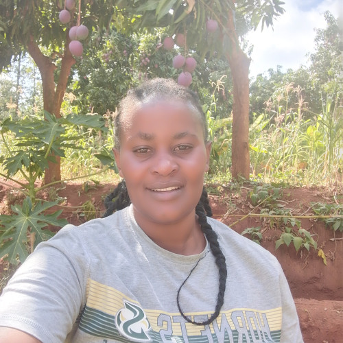 Irene W. profile photo