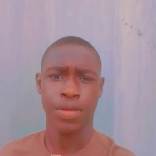 Ihemadu O. profile photo