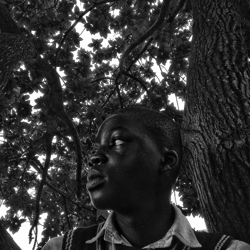 Adebowale F.