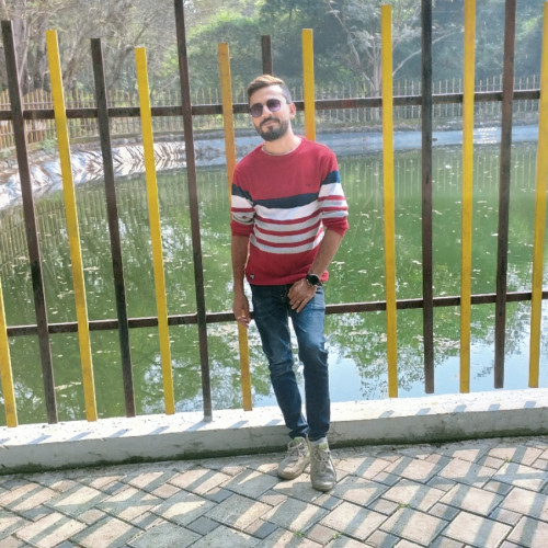 Meet  P. profile photo
